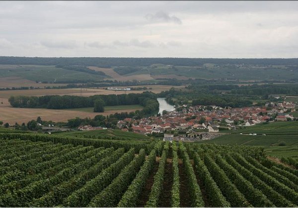 Voyage club 2016 - Visite de Hautvillers